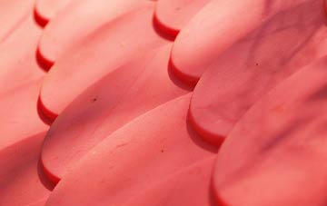 Netherfield plastic roof costs